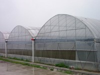 SHG Greenhouse