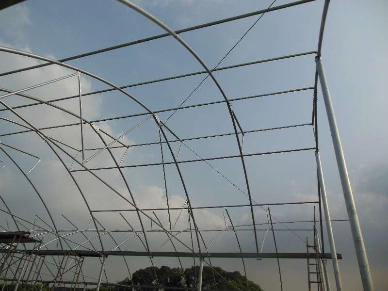 SHG Greenhouse