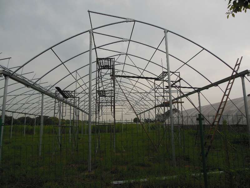 SHG Greenhouse