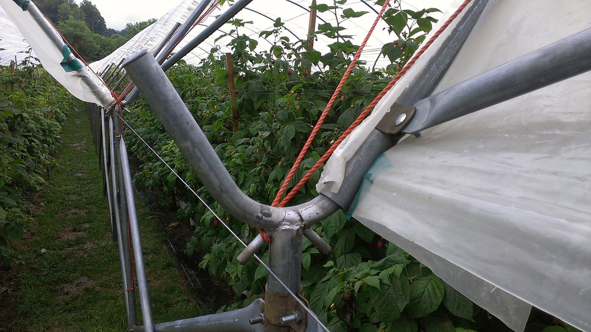 SHG Greenhouse