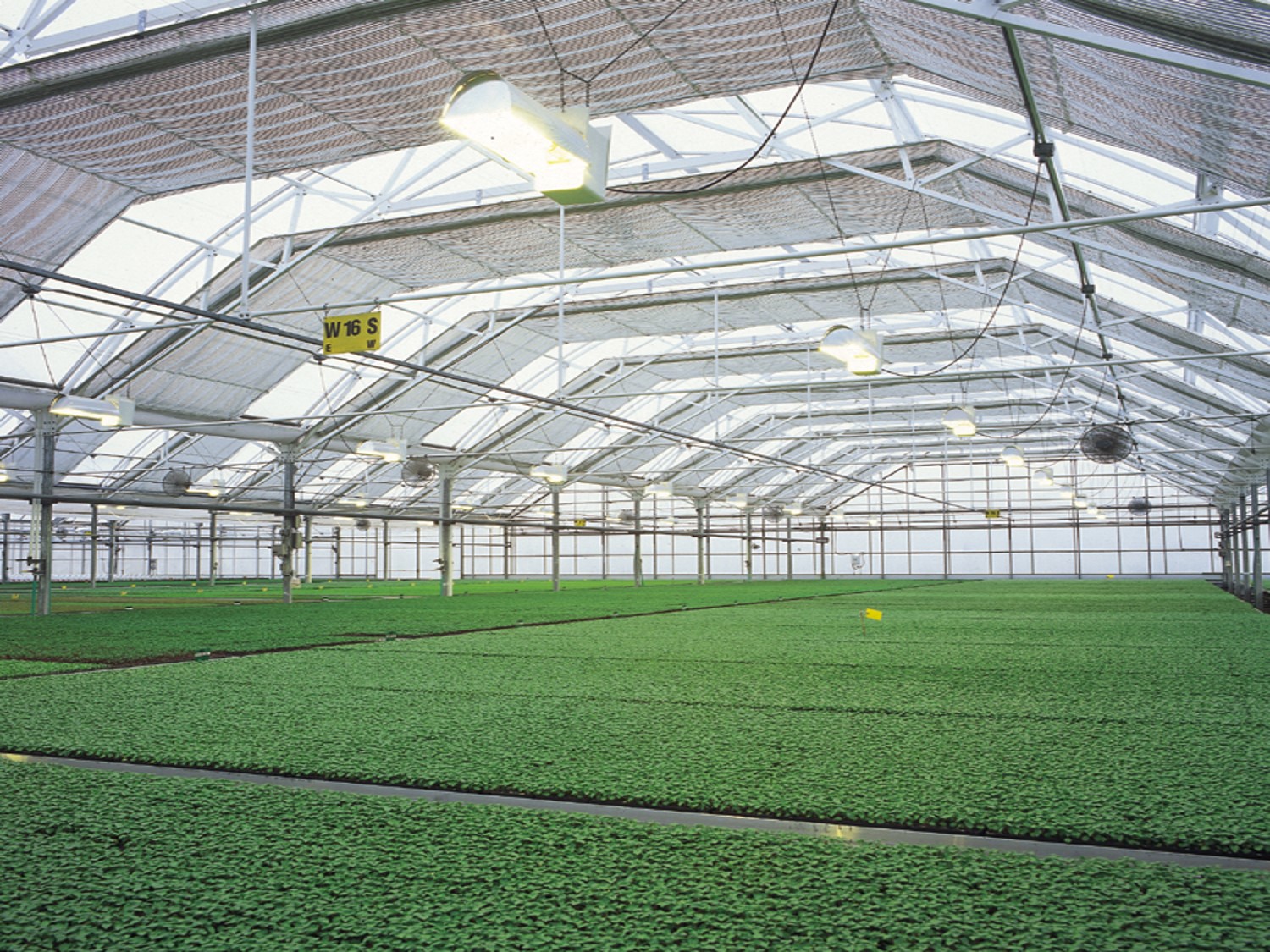 SHG Greenhouse