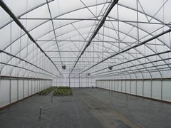 SHG Greenhouse