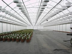 SHG Greenhouse