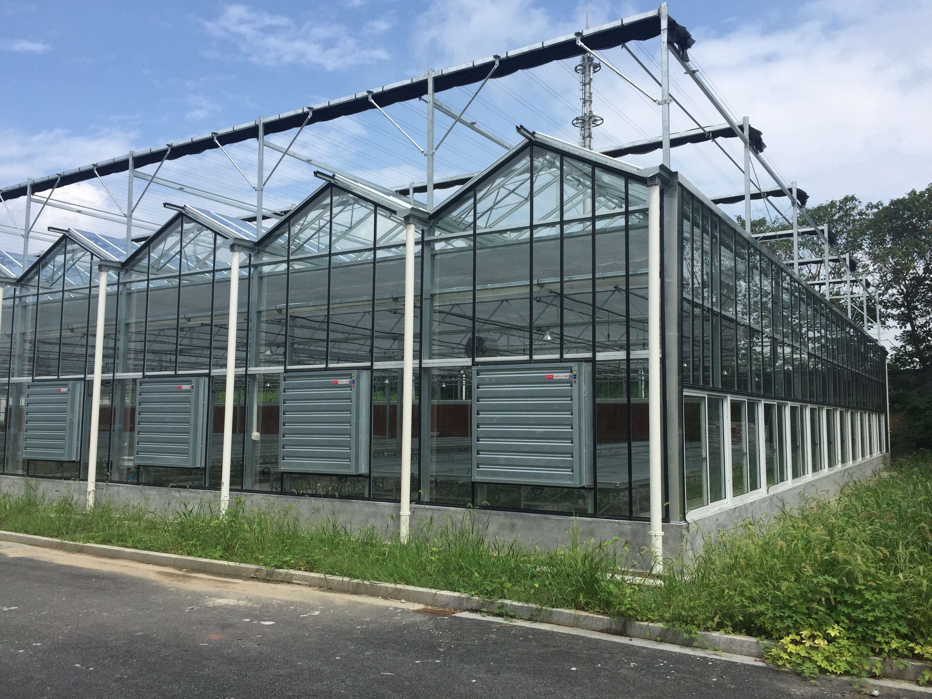 SHG Greenhouse