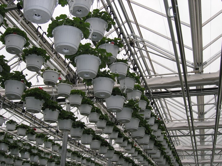 SHG Greenhouse