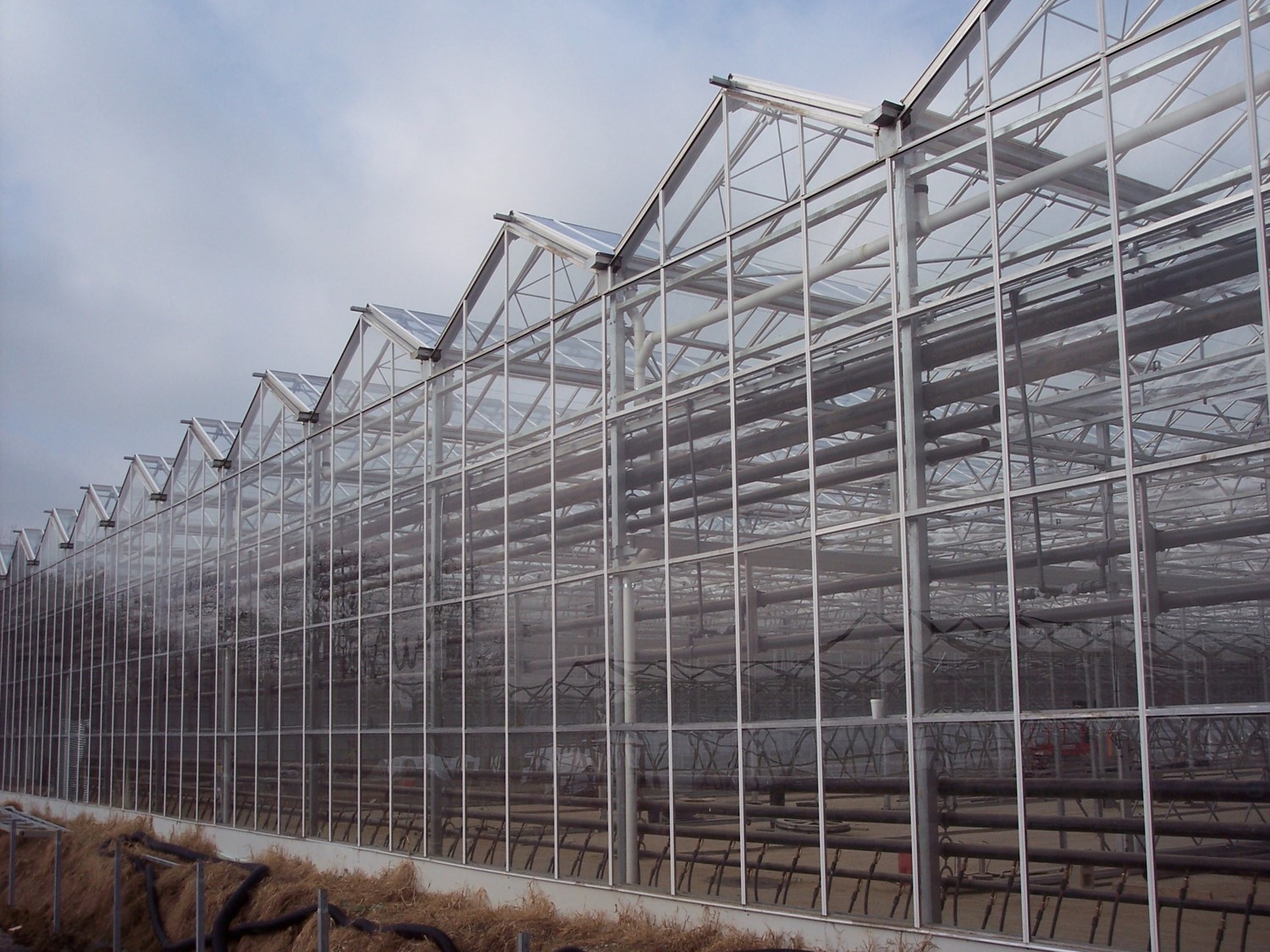 SHG Greenhouse