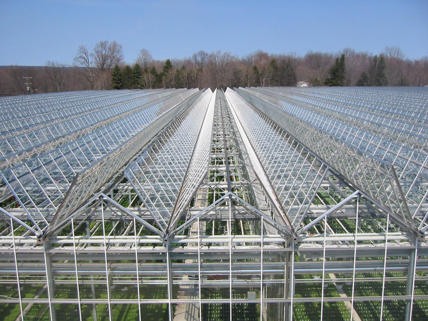 SHG Greenhouse