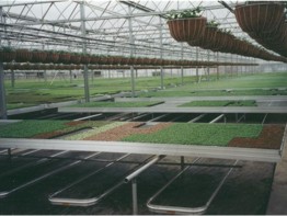 SHG Greenhouse