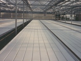 SHG Greenhouse