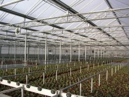 SHG Greenhouse