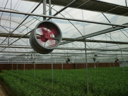 SHG Greenhouse