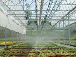 SHG Greenhouse