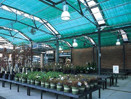 SHG Greenhouse