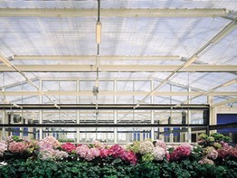 SHG Greenhouse