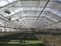 SHG Greenhouse